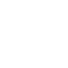 Birra Flea® - Official Website & Shop