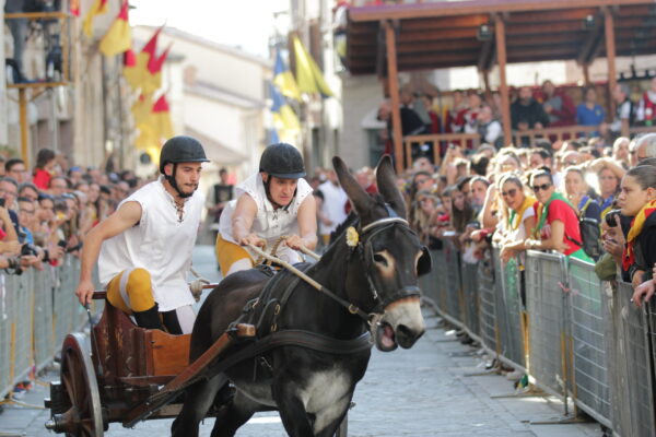 giochi de le porte (11)