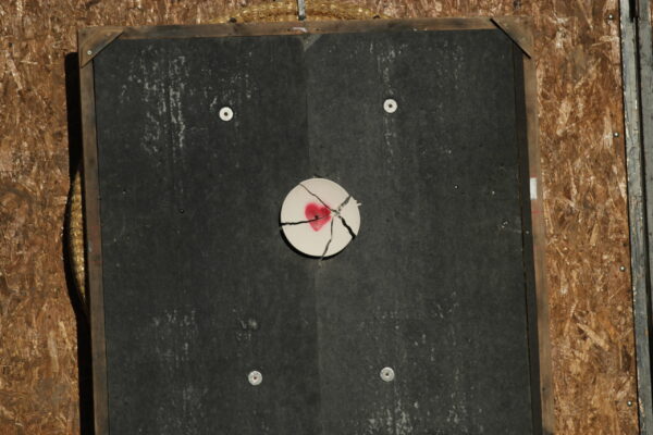 giochi de le porte (12)